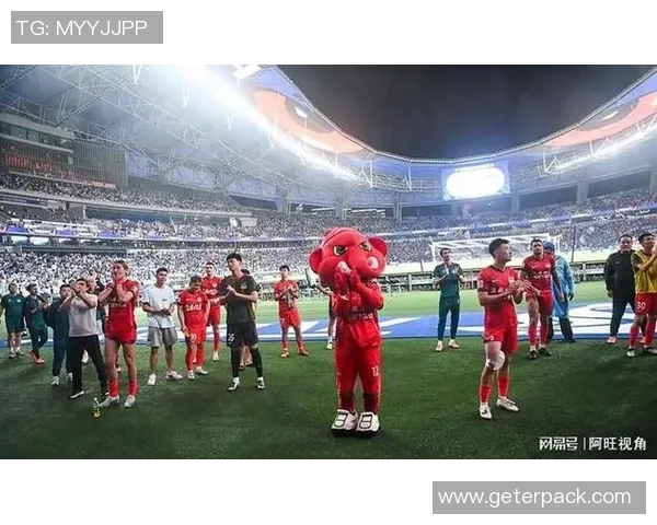 河南足球明星人物解析与发展历程的深度剖析